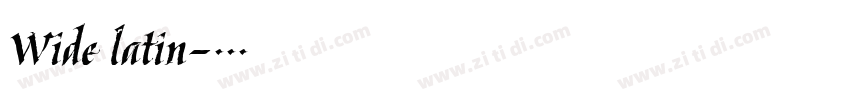 Wide latin字体转换